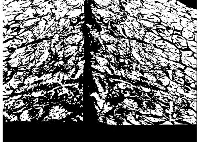 Ararat / linocut on paper / 100 × 70 cm / 2007