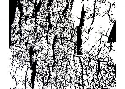 Rock / linocut on paper / 80 × 60 cm / 2007
